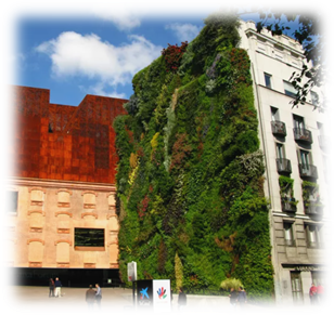 trg caixa madrid