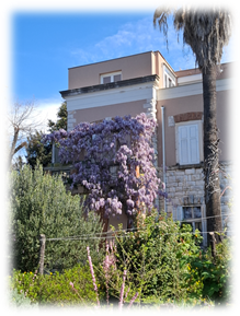 zgrada zadar